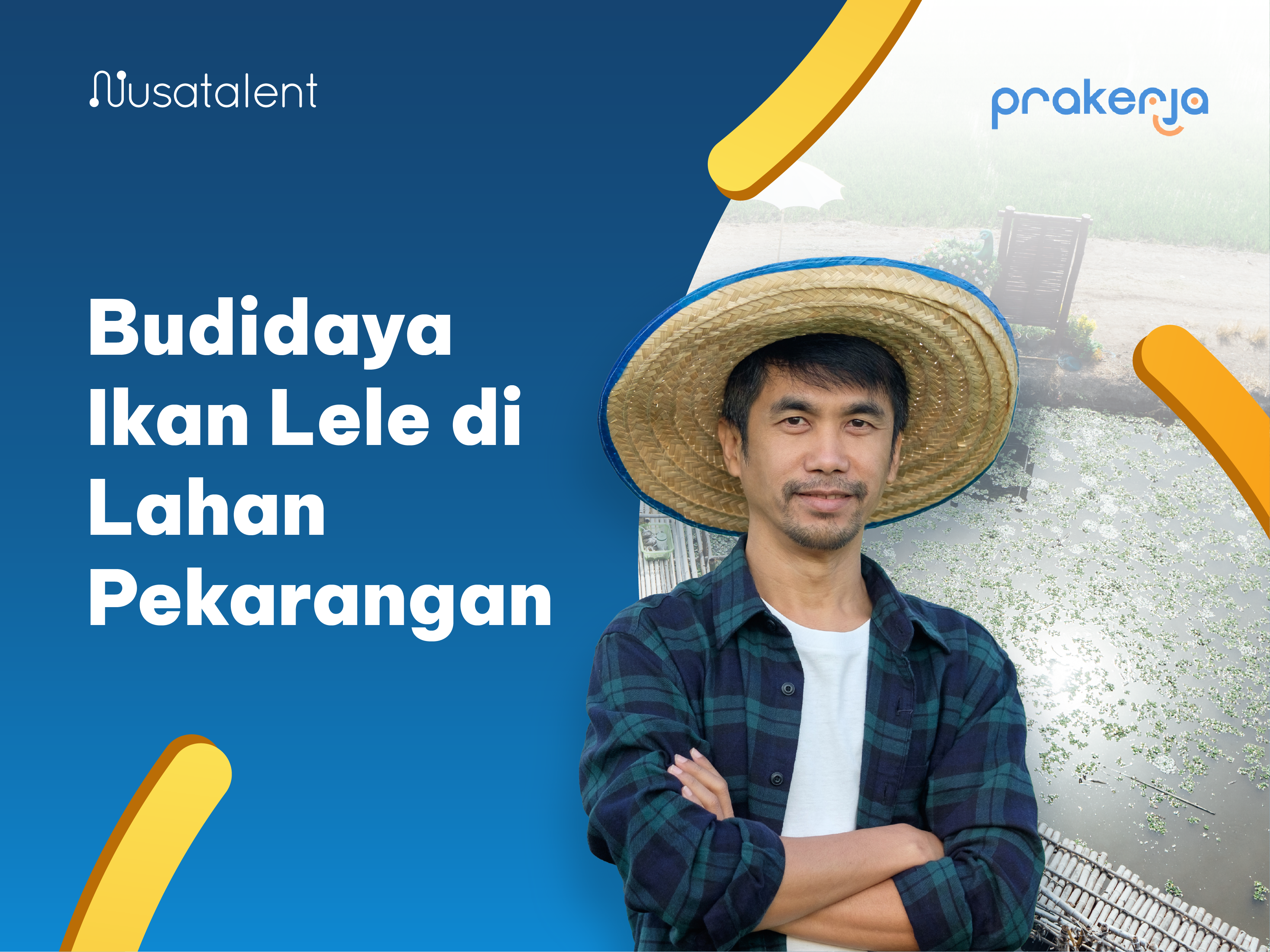 Budidaya Ikan Lele di Lahan Pekarangan